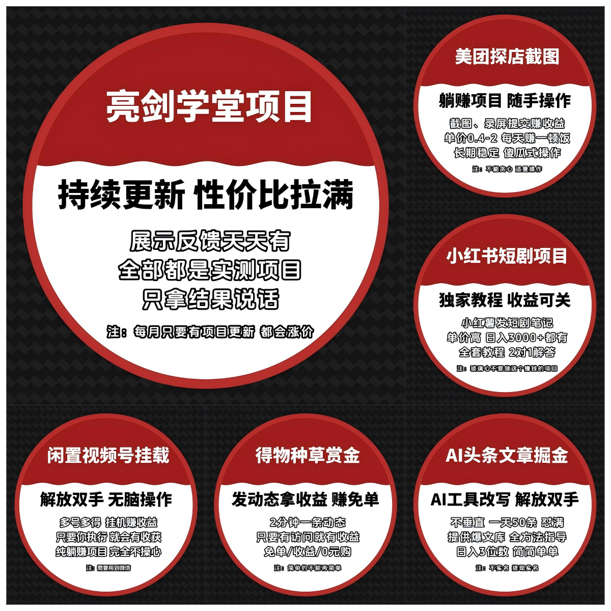 图片[7]-亮剑学堂陪跑项目一览-亮剑学堂